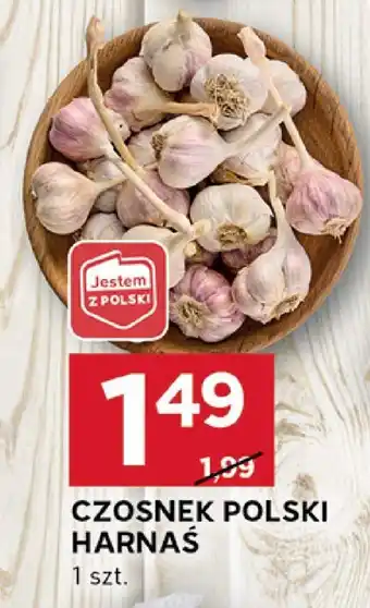Stokrotka Czosnek polski Harnaś oferta