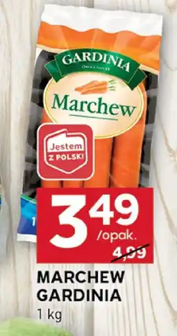 Stokrotka Marchew Gardinia oferta