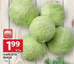 Stokrotka Kapusta biała Stokrotka oferta