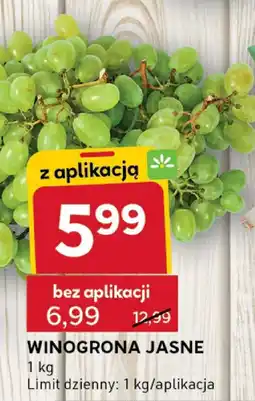 Stokrotka Winogrona jasne Stokrotka oferta
