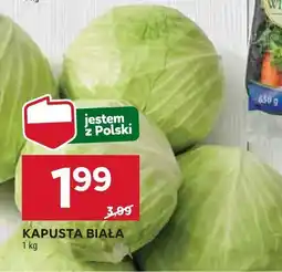 Stokrotka Kapusta biała Stokrotka oferta
