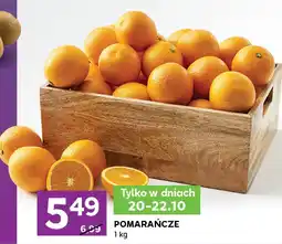 Stokrotka Pomarańcze Stokrotka oferta