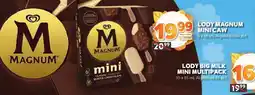 Stokrotka Lody Big Milk mini multipack oferta