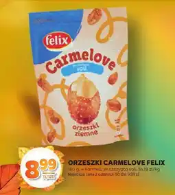 Stokrotka Orzeszki Carmelove Felix oferta