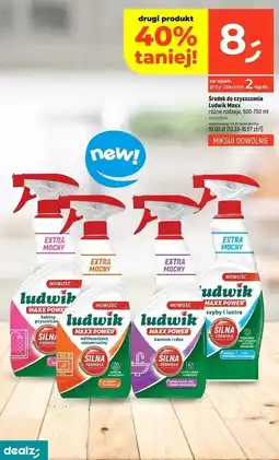 Dealz Spray do szyb i luster Ludwik Maxx Power oferta