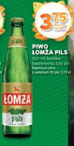 Stokrotka Market PIWO ŁOMŻA PILS oferta