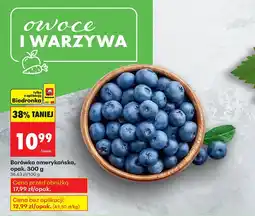 Biedronka Borówka amerykańska 300 g Biedronka oferta