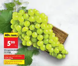 Biedronka Winogrona jasne na wagę Biedronka oferta