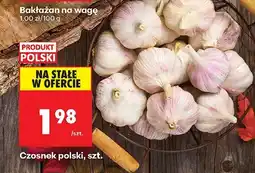 Biedronka Czosnek polski 1 szt. Biedronka oferta