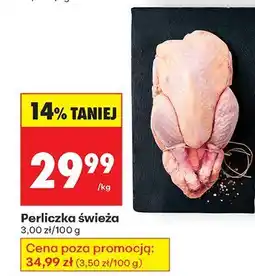 Biedronka Perliczka świeża Biedronka oferta