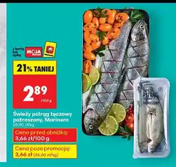 Biedronka Świeży pstrąg tęczowy patroszony Marinero oferta