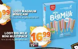 Stokrotka Lody Big Milk mini multipack oferta