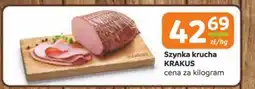 Gama Szynka krucha krakus oferta