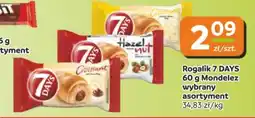 Gama Rogalik 7 days oferta