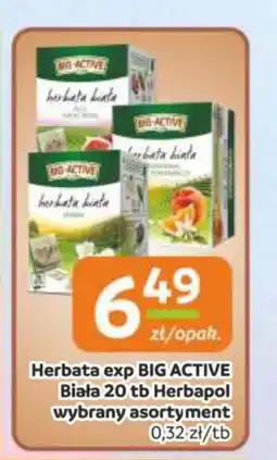 Gama Herbata exp big active biała herbapol oferta