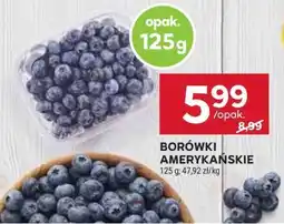 Stokrotka Market Borówki amerykańskie oferta