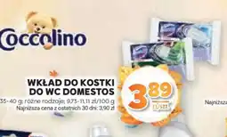 Stokrotka Market WKŁAD DO KOSTKI DO WC DOMESTOS oferta