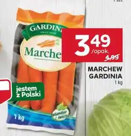 Stokrotka Market Marchew Gardinia oferta
