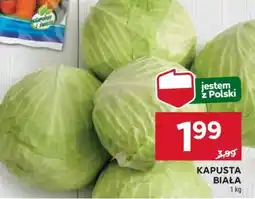 Stokrotka Market Kapusta biała oferta