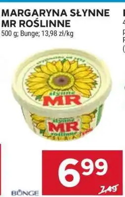 Stokrotka Market MARGARYNA SŁYNNE MR ROŚLINNE oferta