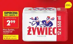 Biedronka Piwo Żywiec 12x550 ml oferta