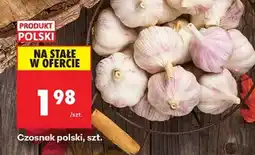 Biedronka Czosnek polski , szt oferta