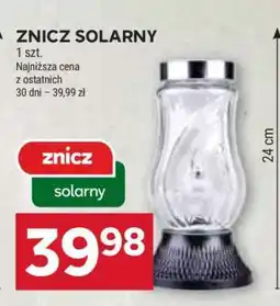 Stokrotka Market Znicz solarny oferta