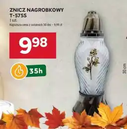 Stokrotka Market ZNICZ NAGROBKOWY T-575S oferta