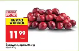 Biedronka Żurawina opak 250 g oferta