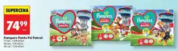 Biedronka Pampers Pants Psi Patrol oferta