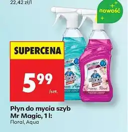 Biedronka Płyn do mycia szyb Mr Magic, 1 l oferta
