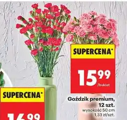 Biedronka Gozdzik premium 12 szt oferta