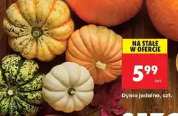 Biedronka Dynia jadalna, szt oferta