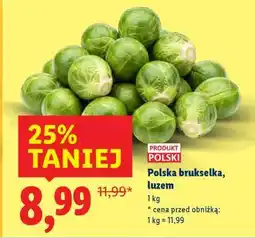 Lidl Polska brukselka, luzem oferta