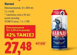 Lidl Harnaś oferta