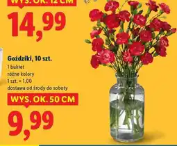Lidl Goździki, 10 szt oferta