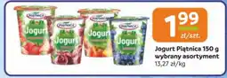 Gama Jogurt Piątnica oferta