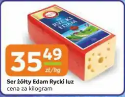Gama Ser żółty Edam Rycki luz oferta