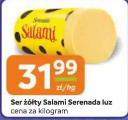 Gama Ser żółty Salami Serenada luz oferta