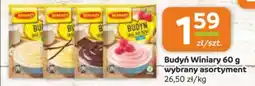 Gama Budyń Winiary oferta