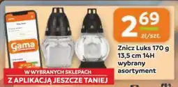 Gama Znicz luks 13,5 cm 14h oferta