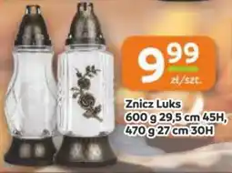 Gama Znicz luks 13,5 cm oferta