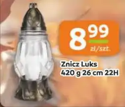 Gama Znicz Luks oferta