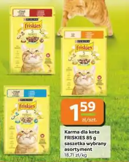Gama Karma dla kota friskies saszetka oferta