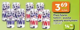Gama Piwo Żywiec oferta