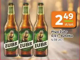 Gama Piwo Żubr oferta