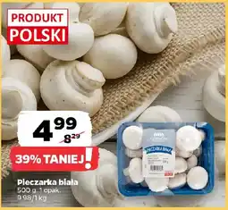 Netto Pieczarka biała oferta