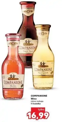 Kaufland Wino Companione Sauvignon oferta