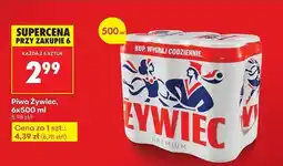 Biedronka Piwo Żywiec Jasne Pełne oferta