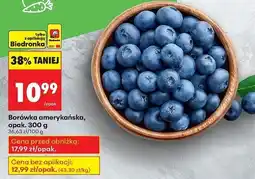 Biedronka Borówki amerykańskie oferta